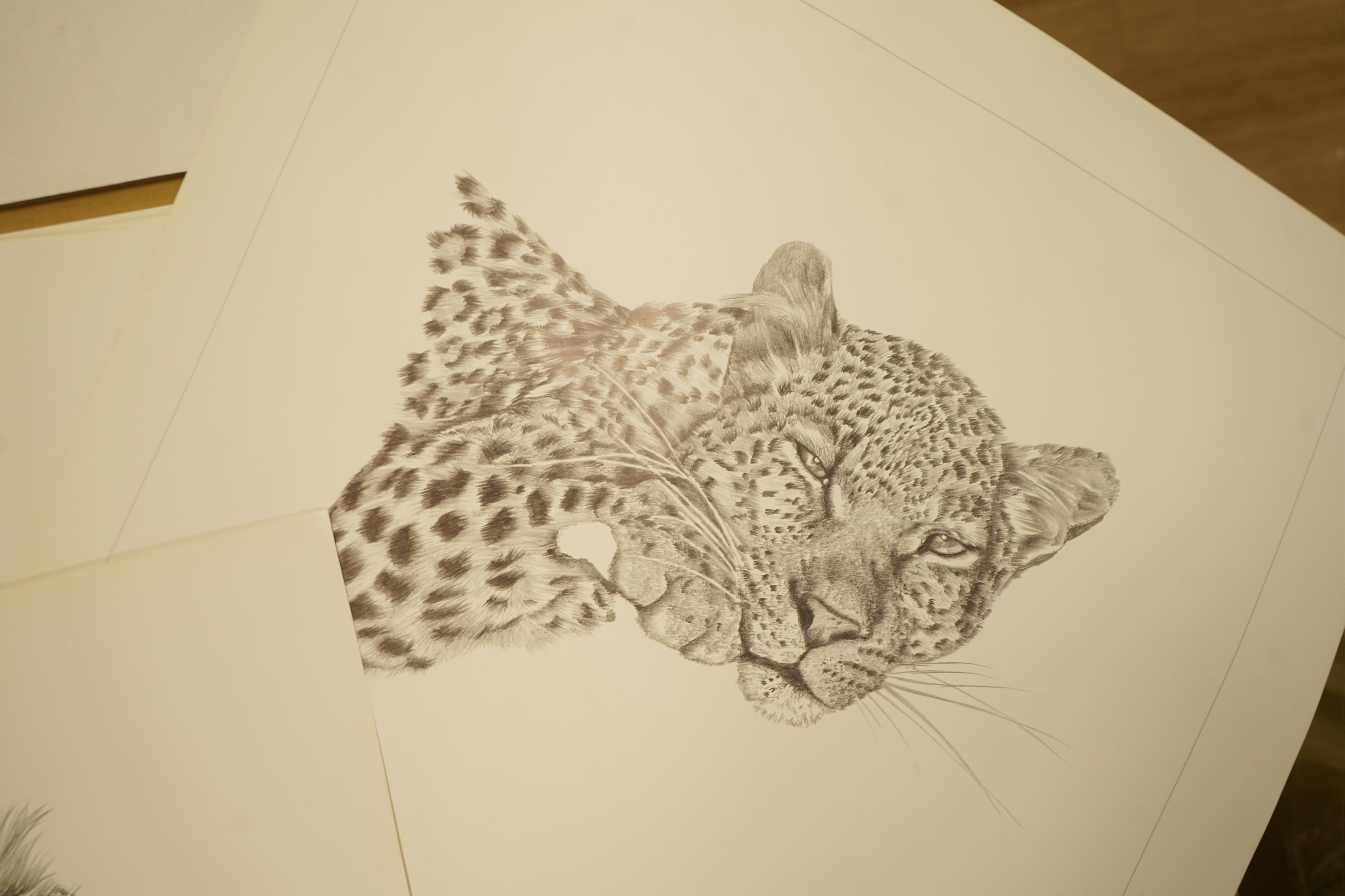 Donald Heywood (b.1944), eleven prints, each signed in pencil to include: ‘Leopard drinking’, ‘Lion portrait’ and ‘Lion cub’, unframed, largest 68 x 48cm